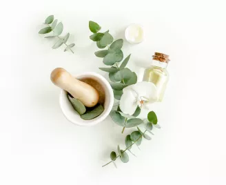 Les biens faits de l’aloe vera sur le visage