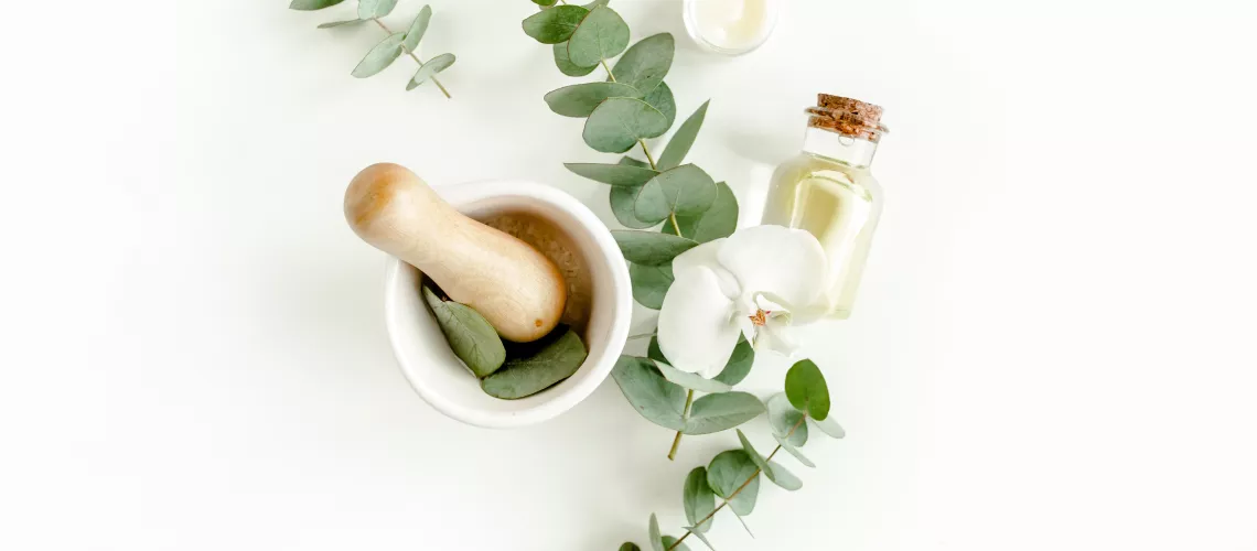 Les biens faits de l’aloe vera sur le visage